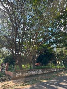 Americo Pico c/ Calle sin nombre , Villa Elisa, Central 00001, Paraguay