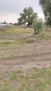 Otumba, Estado De México 55900, México