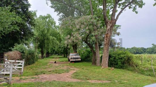 San Lorenzo 4500 4551, Escobar, GBA Norte 00001, Argentina
