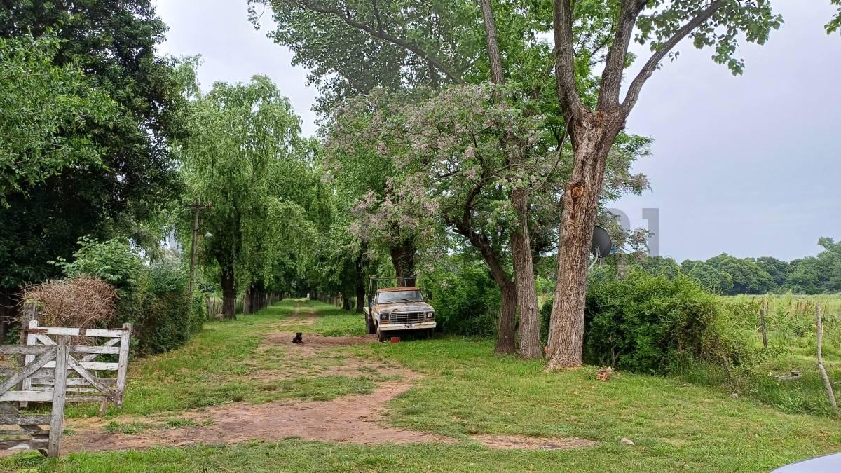 San Lorenzo 4500 4551, Escobar, GBA Norte 00001, Argentine