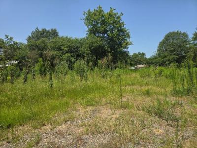 307 Washington, Linden, Texas 75563, USA