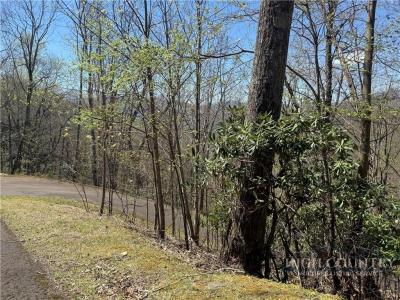 24 Elk Mountain Loop, Newland, Caroline Du Nord 28657, États-Unis