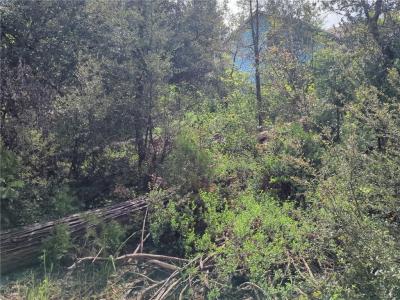 53309 Road 432, Bass Lake, Californie 93604, États-Unis