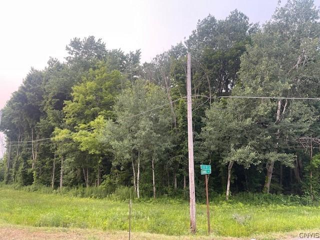 Chase Road, Granby, نيويورك 13069, الولايات المتحدة