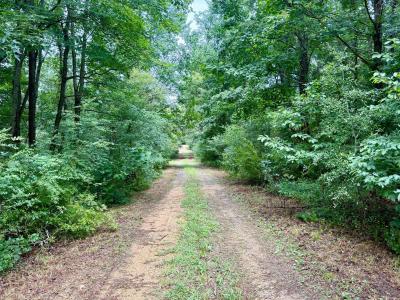 45291 Take It Easy Ranch Road, Callaway, Maryland 20620, USA