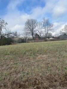 Address Withheld By Seller, Greenbrier, Arkansas 72058, Stati Uniti