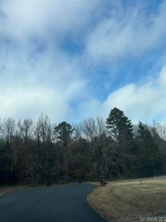 Address Withheld By Seller, Greenbrier, Arkansas 72058, Stati Uniti