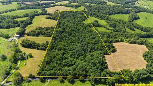 223 Plum Lick Rd, Paris, Kentucky 40361, USA