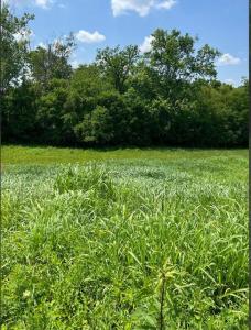 1258 Oak View Dr, Owingsville, Kentucky 40353, USA