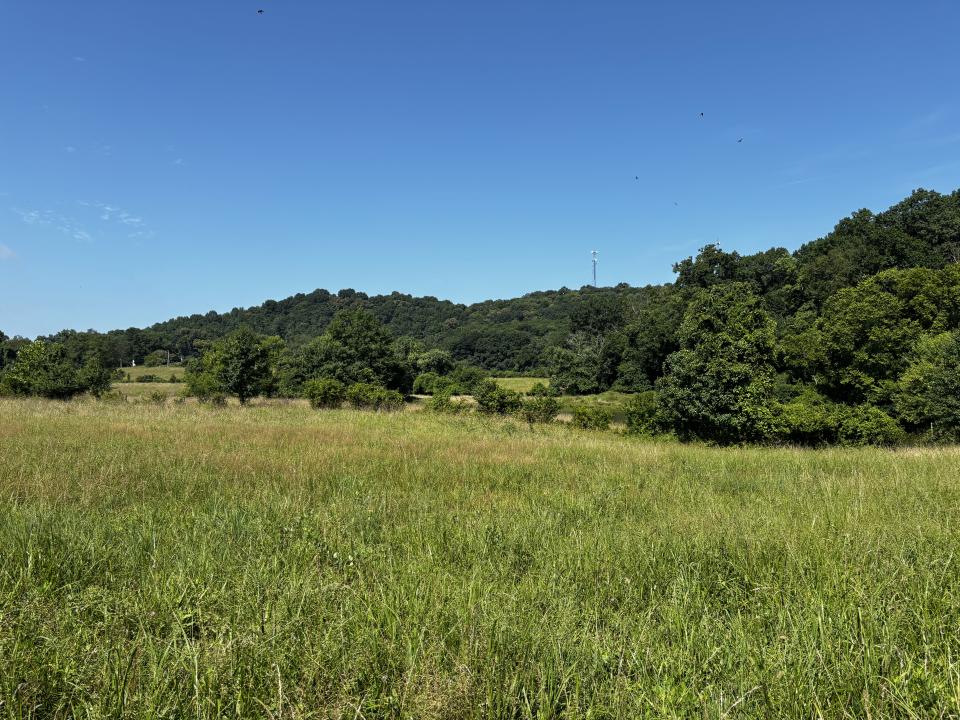 856 Kentucky Avenue, Frankfort, Kentucky 40601, USA
