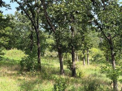Double Springs Road, McAlester, Oklahoma 74501, Estados Unidos