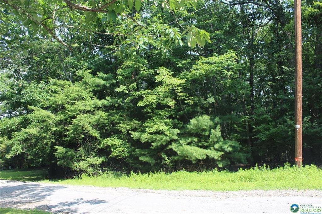 Turkey Ridge Dr Lot 12, Kunkletown, Pennsylvanie 18058, États-Unis