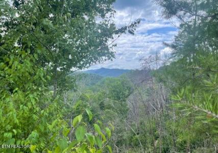Lot 4 River Birch Way, Sevierville, Tennessee 37862, USA