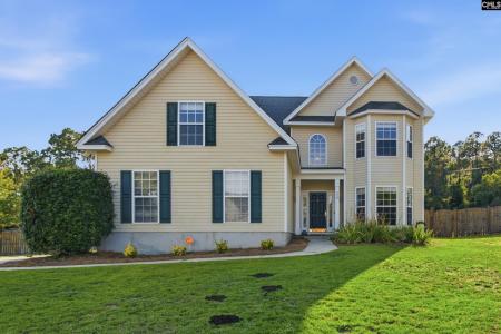 208 Timber Chase Court, Lexington, South Carolina 29073, USA