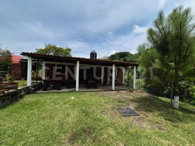 Calle Juárez, La Yerbabuena, San Antonio, Comala, Colima S/N,, Comala, Colima 28464, Messico