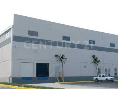 Santa Catarina, Nuevo León 66350, Messico
