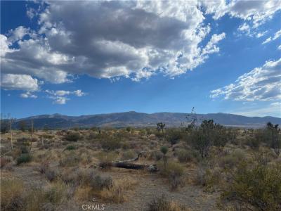 2163 Calaveras, Pinon Hills, Californie 92372, États-Unis