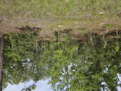 00 SW 122 Ave, Dunnellon, Флорида 34432, Соединенные Штаты
