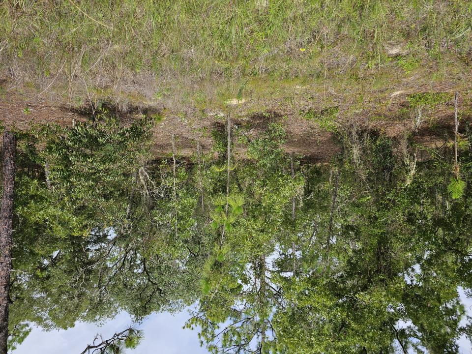 00 SW 122 Ave, Dunnellon, Флорида 34432, Соединенные Штаты