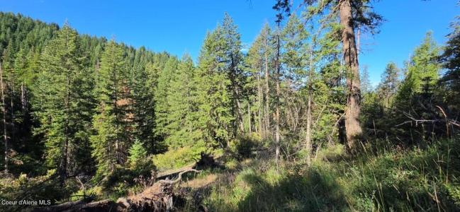 . N Gages Mountain Rd, Coeur D'alene, Idaho 83814, États-Unis