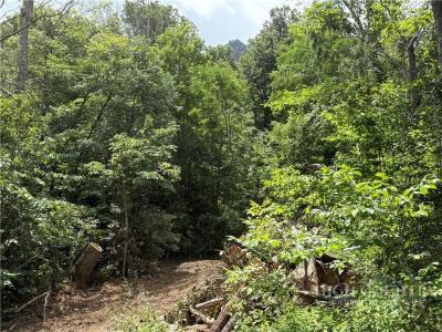 Shanty Springs Road lot: 15, Banner Elk, North Carolina 28604, USA