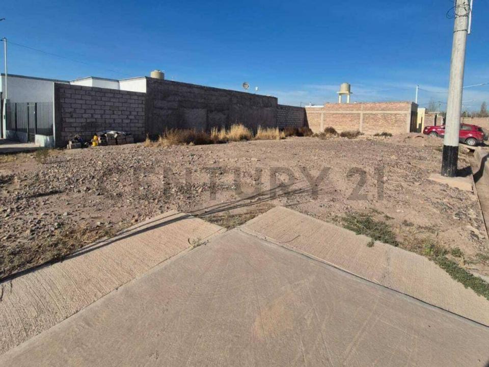 ADOLFO CALLE , Rodeo De La Cruz, Mendoza 5525, Argentyna