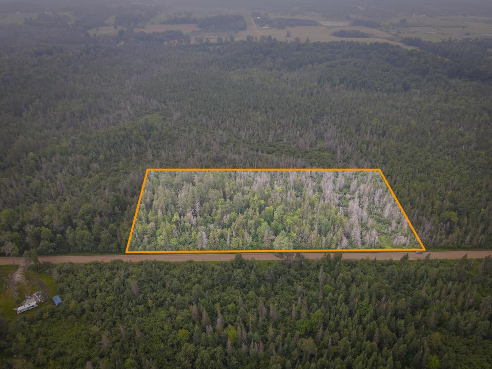 17185 21 Mile Road, Tustin, Michigan 49688, États-Unis