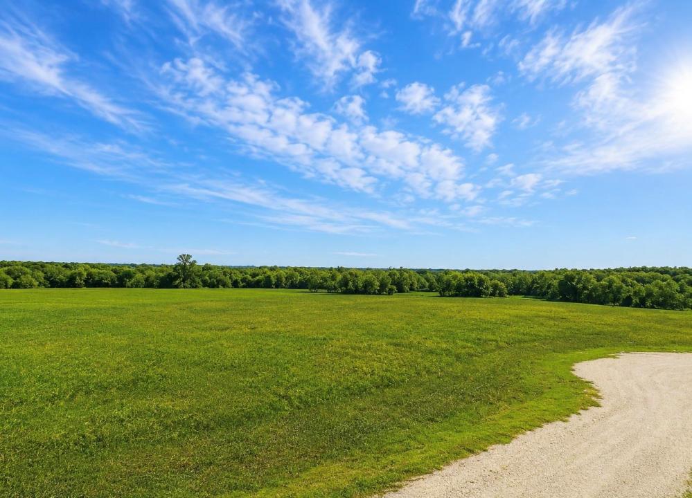 Lot 80 FM 904 S, Pecan Gap, Texas 75469, USA