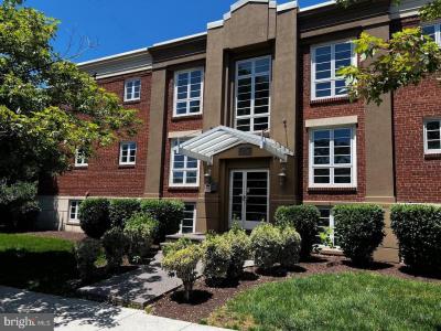 1219 Oronoco Street , 103, Alexandria, Virginia 22314, USA