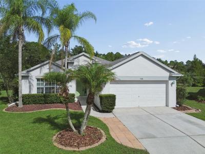 3526 Morgans Bluff Ct , Land O Lakes, Floride 34639, États-Unis