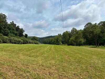 0 Buckskin Road, Prichard, Virginie Occidentale 25555, États-Unis