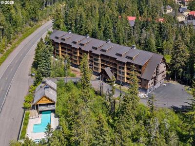 31206 E Collins Lake Rd #25, GovernmentCamp, Oregon 97028, USA