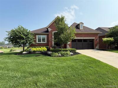 58626 Valley View Drive, Washington Township, Michigan 48094, USA