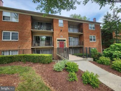884 College Pkwy #302, ROCKVILLE, Maryland 20850, États-Unis