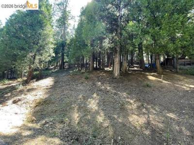 Parcel 34 Sno Bowl Rd, Long Barn, California 95346, Stati Uniti