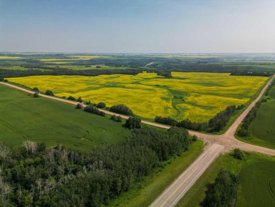 RANGE ROAD 263, Rural Red Deer County, Alberta T4E 0Y8, Canadá