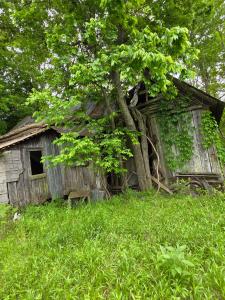 118 C.R. 5239, Oark, Arkansas 72852, USA