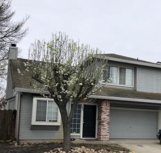 828 Lyonia Drive, Galt, California 95632, USA