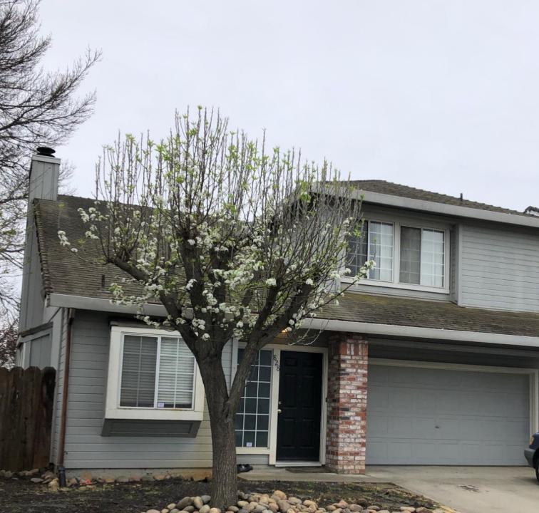 828 Lyonia Drive, Galt, Californie 95632, États-Unis