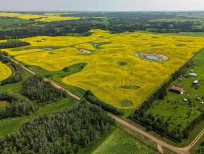 38127 RANGE ROAD 25-2, Joffre, Alberta T4L 2N2, Canada