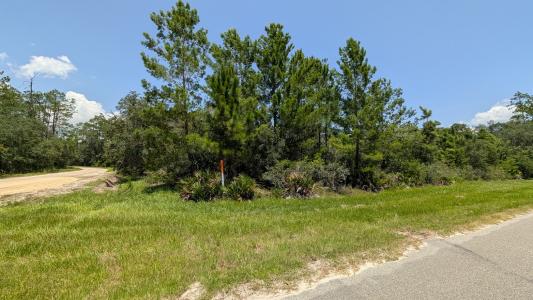 201 Whispering Pines, Georgetown, פלורידה 32139, ארצות הברית של אמריקה 