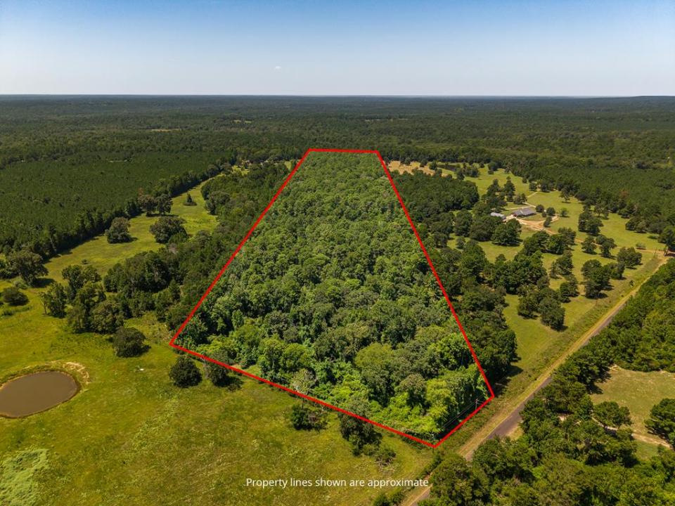 P13246 FM 323, Elkhart, Texas 75839, USA