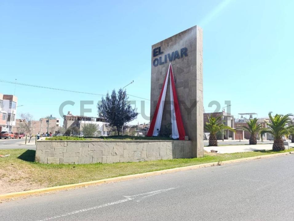 olivar , Tacna, Tacna 00001, Peru