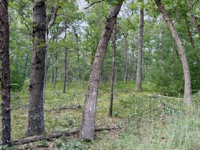 2a Steinberg Road, Manistee, Michigan 49660, USA