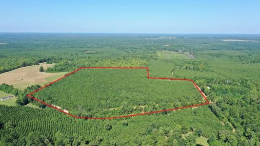 0000 County Road 1619, Linden, Texas 75563, USA