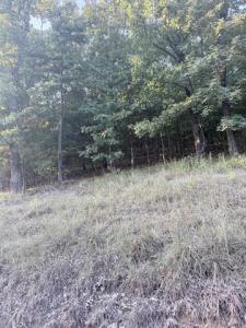 Lot 14 Ridge, Mayflower, アーカンソー 72106, アメリカ合衆国