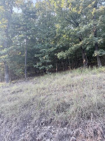 Lot 13 Ridge, Mayflower, Арканзас 72106, Соединенные Штаты
