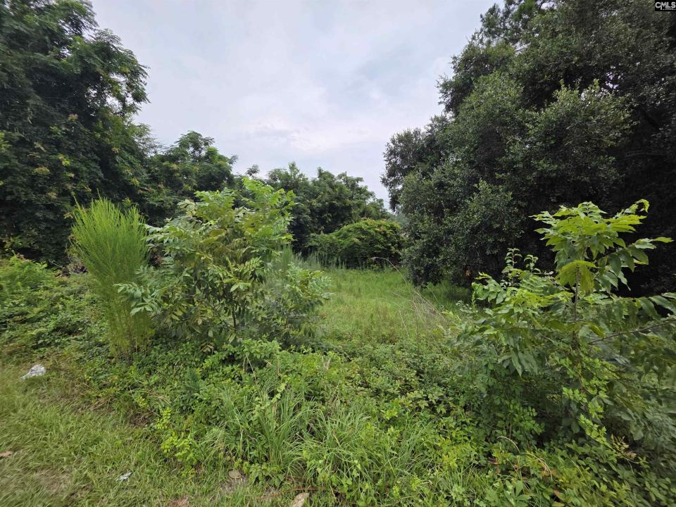 0 Hillsboro Road, Orangeburg, South Carolina 29115, Stati Uniti