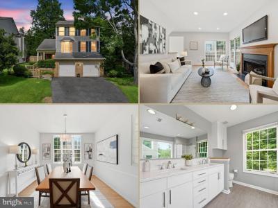 7506 Irene Court, Springfield, Virginia 22153, USA