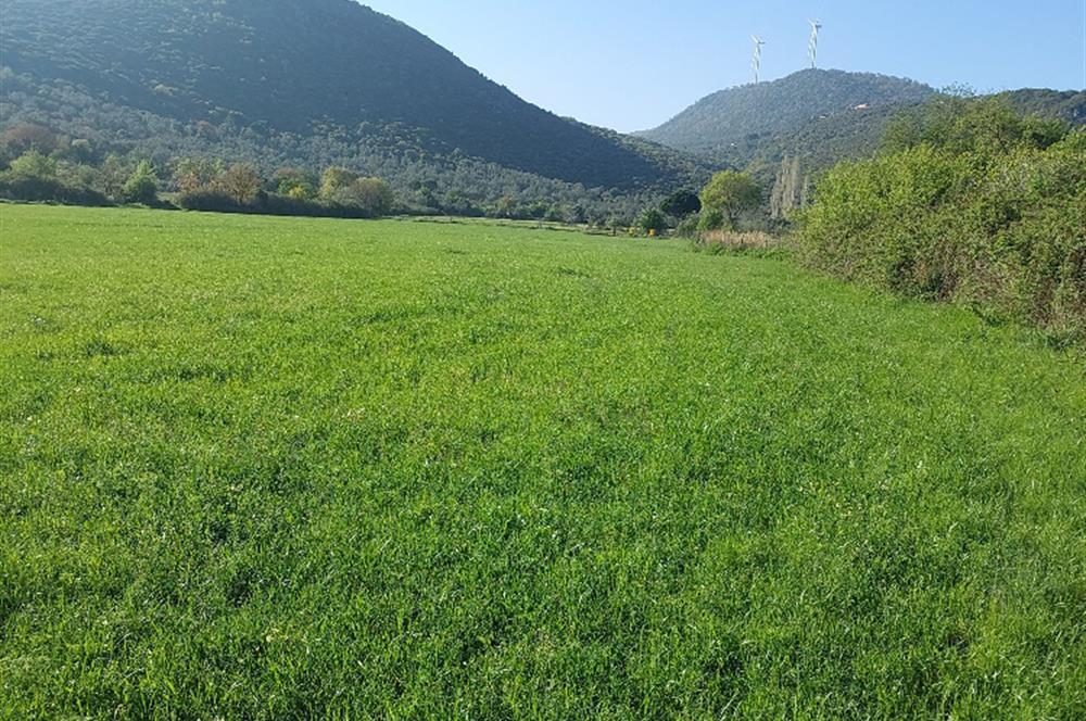 Izmir, Turchia